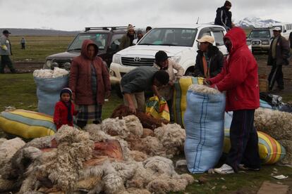 Comerciantes de alpaca en Chejepampa, una explanada en la frontera entre Bolivia y Perú en la que cada semana se monta una feria de contrabando. La venta de este tejido es una de las actividades comerciales tradicionales en la región. Sin embargo, cada vez más agricultores y ganaderos dejan los campos para dedicarse a la mina.