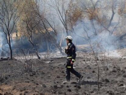 El área devastada por el fuego en Cenicientos acoge especies protegidas como el águila imperial y continúa sin extinguirse en la zona suroeste