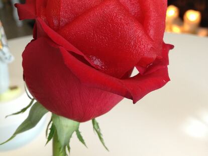 Clásicos contemporáneos