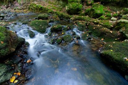 Cascada de las Pisas.