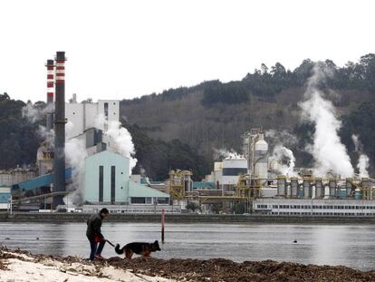 Imagen de la planta de Ence en la ría de Pontevedra.