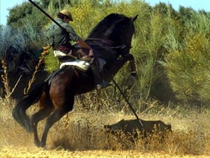 Cacería de un jabalí mediante lanza. / Domingo García (Club Internacional de Lanceo)