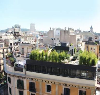 Cubierta ajardinada de la Sede de La Casa por el Tejado en el Ensanche de Barcelona realizada por La Casa por el Tejado.