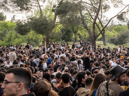 Jóvenes celebrando el botellón de San Cemento después de dos años, en el campus de la Facultad de Derecho de la Complutense.