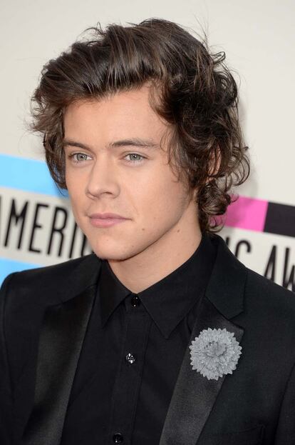 Harry Styles, cantante de One Direction.