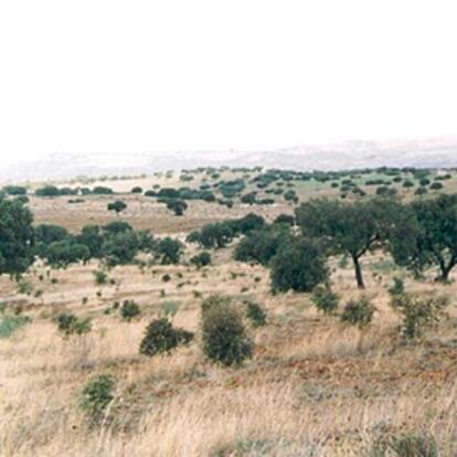 Paisaje de Extremadura