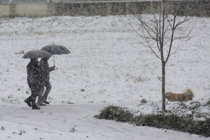 Nieve en la capital alavesa