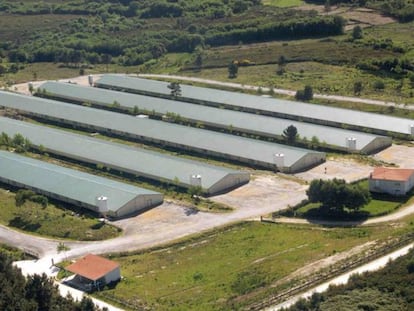 Instalaciones de Coren en la provincia de Ourense.