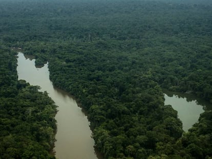 Foto aérea sobre a Terra do Meio, no Pará, hoje ameaçada pela grilagem