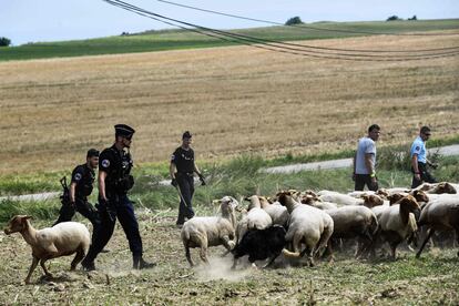 Agentes frenan a los manifestantes con un rebaño de ovejas, durante la protesta de unos agricultores que bloquearon la ruta del Tour. 