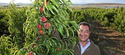 Atanasio Naranjo, responsable de Tany Nature,  en sus 2.000 hect&aacute;reas de cultivos. 