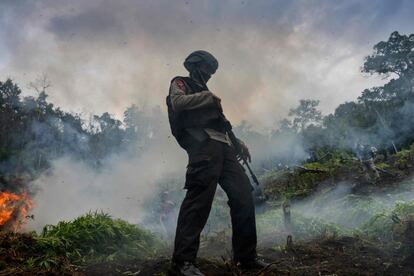 El ejeécito quema plantaciones de cannabis en la línea de bosques de Lamteuba, provincia de Aceh, durante una redada de la Junta Nacional de Estupefacientes de Indonesia (BNN).