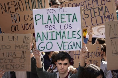 Un joven muestra un cartel en el que se puede leer "Por el planeta, por los animales, Go vegan", durante la protesta estudiantil contra el cambio climático frente al Congreso de los Dipitados, el 1 de marzo.