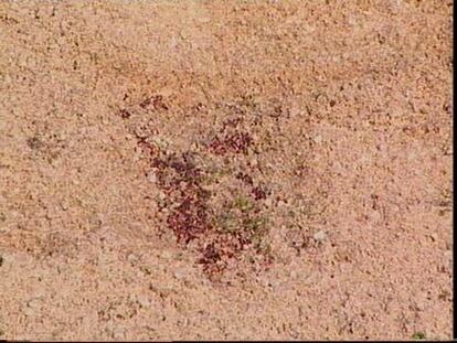 Hallan los cadáveres de dos hombres en San Agustín de Guadalix (Madrid)