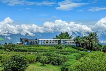 El tren de juguete a Darjeeling (India).