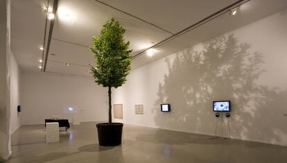 La muestra de Daniel Cerrejón, 'Hacer el fracaso', reflexiona sobre el fracaso como motivo artístico. Aquí vemos un árbol que ha crecido hasta chocar con el techo.