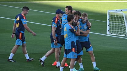 Seleccion española