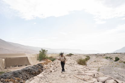 Don Mauricio Mamani pasea por uno de los laterales del río San José, completamente seco, que atraviesa el valle de Azapa. Al otro lado, invernaderos y zonas cubiertas de ceniza resultado de la quema de tomates, una práctica que los agricultores llevan a cabo para regular los precios.