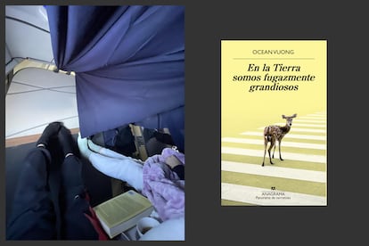 El 29 de agosto de 2022, Rosalía publicó esta foto en Chile. Los expertos tardaron poco en descubrir que la contraportada del libro se correspondía con 'En la Tierra somos fugazmente grandiosos', de Ocean Vuong.