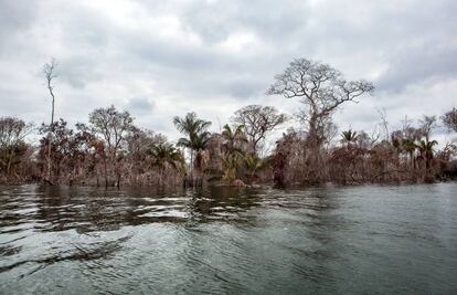 Paisaje del embalse de Belo Monte.