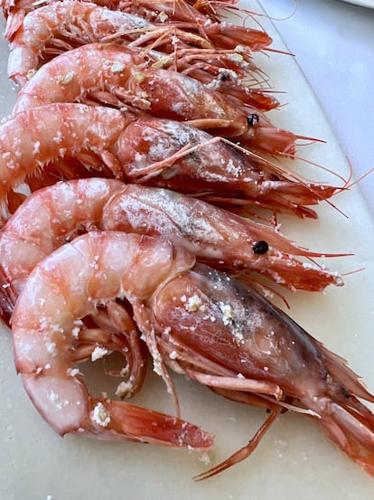 Gambas rojas a la plancha en el El Refugio de JuanFran, en Águilas (Murcia) J.C. CAPEL