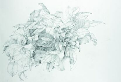 'Hojas de gardenia', de Aramburu.