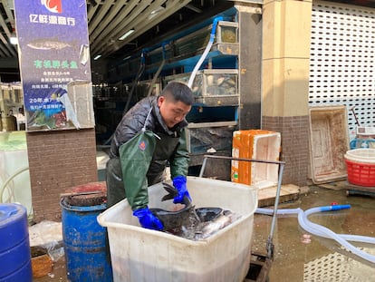 Un trabajador del nuevo mercado de mariscos de Wuhan, ubicado en las afueras de la ciudad, al que se trasladaron los antiguos comerciantes del mercado donde se detectó el brote coronavirus. Retratado el martes 21 de enero.  