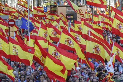 Marea de banderas de España sobre los manifestantes.
