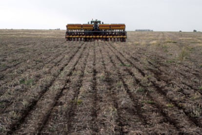 Tierras de cultivo en Las Parejas, en la provincia argentina de Santa fe.