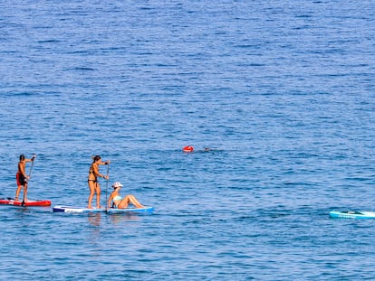 Una familia hace paddle surf en la orilla de la playa de Poniente de Benidorm (Alicante) el pasado 8 de julio.