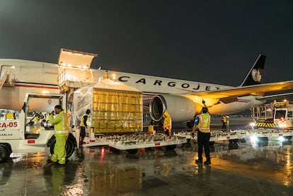 Trabajadores reciben un avión de Cargojet en la terminal de Carga y Aduanas en el Aeropuerto Internacional Felipe Ángeles.