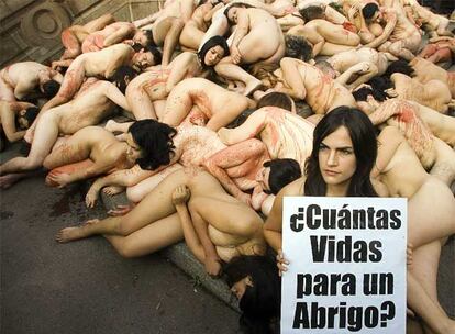 AnimaNaturalis ha realizado lo que dicen que es el desnudo más numeroso contra la industria peletera para concienciar a la gente de que no hay nada elegante en usar pieles de animales, pero sí mucha crueldad y egoísmo. Las más de cien personas concentradas en la Plaza de Cataluña de Barcelona representaban el número de chinchillas que se utilizan para un hacer abrigo. Según denuncia la ONG, millones de zorros, visones, nutrias, linces, castores, chinchillas y otras especies son criados en cautiverio o atrapados de manera cruel para despojarlos de una piel que ellos sí necesitan.