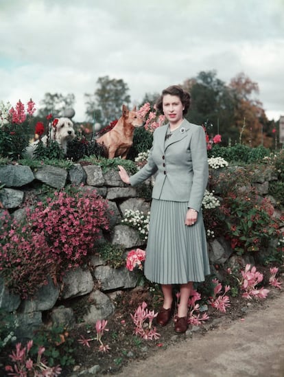 <p>Vale, la Reina está muy elegante y lleva unos zapatos preciosos, pero aquí el protagonismo es para todo lo demás: para las flores, casi fluorescentes, que hay al borde del camino y sobre el murete, para el cielo nublado y, por supuesto, para sus dos perritos, que hacen una pausa en su paseo por Balmoral (estamos en 1952) para poner su mejor pose ante el fotógrafo. Una imagen digna de <em>El Mago de Oz</em>.</p>