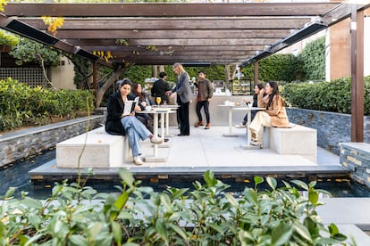 Una pérgola de enredaderas concede sombra e invita a tomar un refresco en la Fundación Juan March.