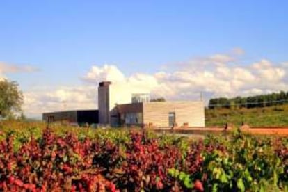 Finca de Bodegas Losada, en Cacabelos (León).