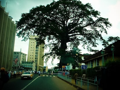 Luces y sombras de Sierra Leona