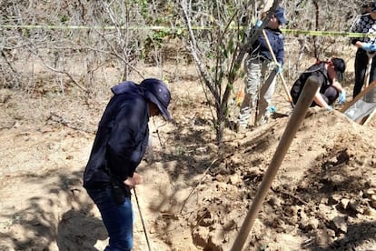 Colectivos y autoridades trabajan en una fosa clandestina localizada en Los Cabos, Baja California Sur, el 25 de febrero.