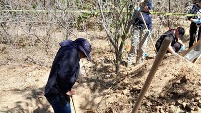 Colectivos y autoridades trabajan en una fosa clandestina localizada en Los Cabos, Baja California Sur, el 25 de febrero.