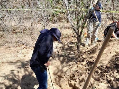 Colectivos y autoridades trabajan en una fosa clandestina localizada en Los Cabos, Baja California Sur, el 25 de febrero.