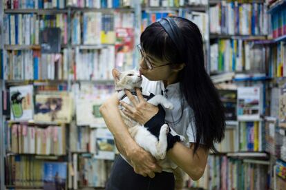 Con un concepto similar a los 'cat cafe', en la librería Sam Kee, en Hong Kong, alrededor de 40 gatos callejeros caminan libremente entre montones de títulos. En la foto, Caroline Chan, la propietaria, besa a uno de los felinos.