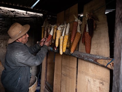 Milpa Guatemala