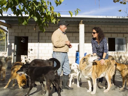 Arancha Sanz y un colaborador, en el centro de acogida de la SPAP.