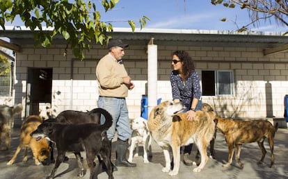 Arancha Sanz y un colaborador, en el centro de acogida de la SPAP.