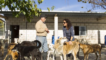 Arancha Sanz y un colaborador, en el centro de acogida de la SPAP.