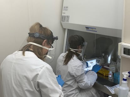 Técnicas del laboratorio de Aysa trabajan con muestras de líquidos cloacales en busca de coronavirus.