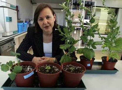 Carmen Lladró, directora de Calantia.