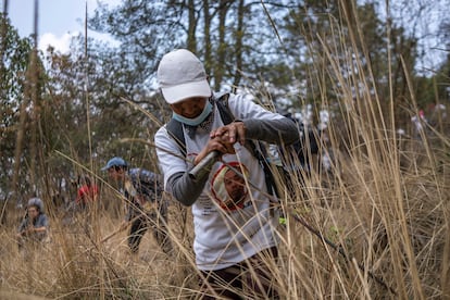 Inés Lázaro, madre buscadora, durante la Quinta Brigada Regional de Búsqueda, en el Ajusco, Ciudad de México, el 1 de mayo de 2025.