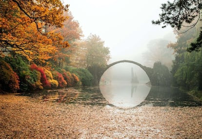 Niebla sobre árboles otoñales junto al puente Rakotzbruecke en Kromlau (Alemania).