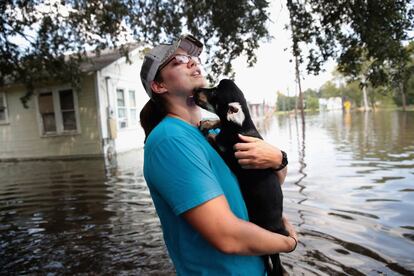 Una mujer colabora en las tareas de rescate de mascotas de sus hogares inundados a causda de las lluvias torrenciales derivadas del paso del huracán Harvey, en Orange, Texas.