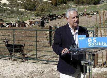 El presidente del PP-A y candidato a la presidencia de la Junta de Andalucía, Javier Arenas, en la presentación del programa electoral de ganadería de su partido, en Lucena (Córdoba).